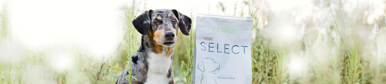 Croquettes Chien 'Select SPF Agneau Small' | Perro